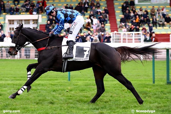 02/11/2024 - Compiègne - Prix Cerilly : Arrivée