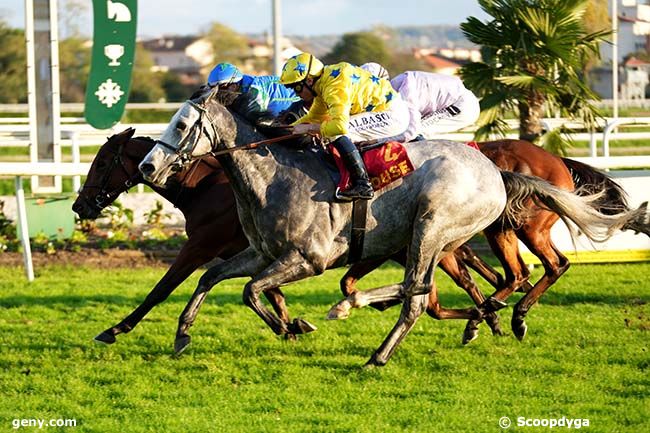 11/11/2024 - Toulouse - Prix de la République du Senegal (Prix d'Esquirol) : Arrivée