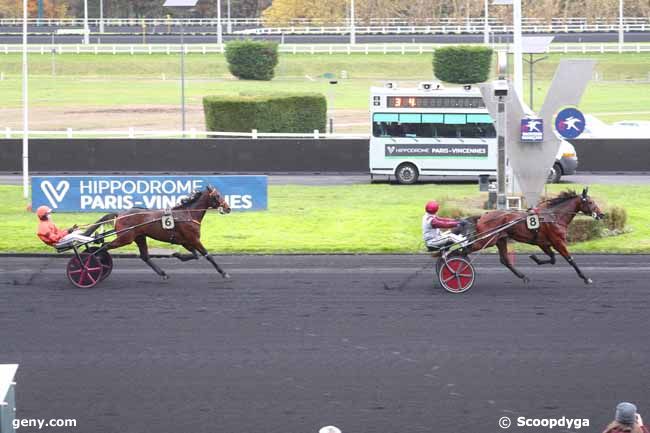 23/11/2024 - Vincennes - Prix Timoko : Arrivée