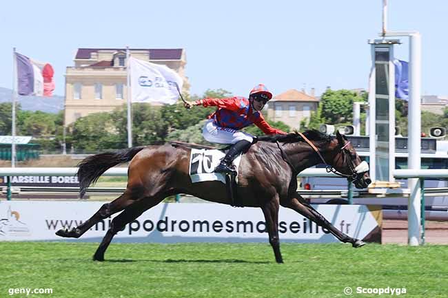 26/05/2025 - Marseille-Borély - Prix Louis Brunet : Arrivée