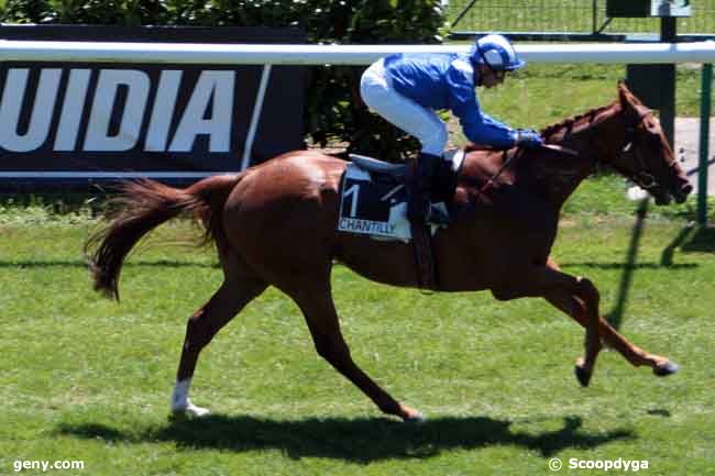 04/07/2010 - Chantilly - Prix des Trois Massifs : Arrivée