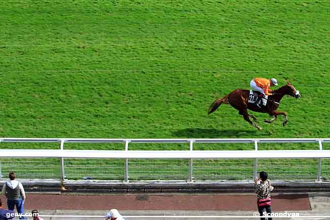 30/09/2010 - Auteuil - Prix Pride of Kildare : Arrivée