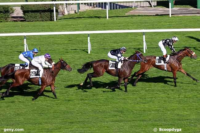 11/10/2010 - Saint-Cloud - Prix Cardmania : Result