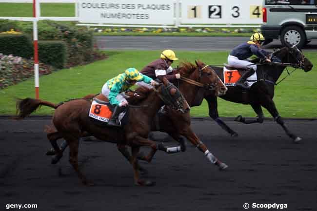 18/11/2010 - Vincennes - Prix de Vitteaux : Ankunft