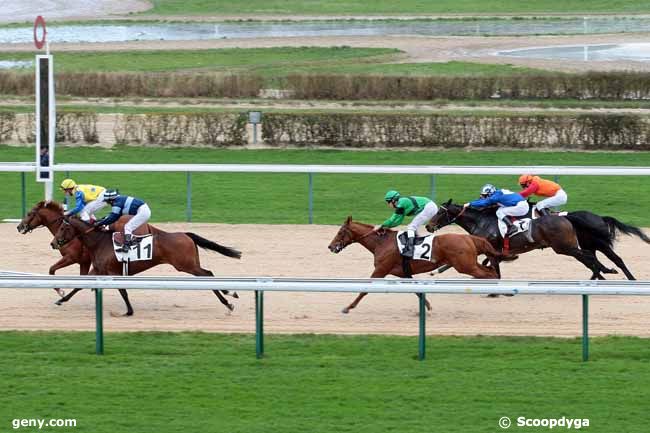 12/01/2013 - Deauville - Prix de la Tête au Loup : Arrivée