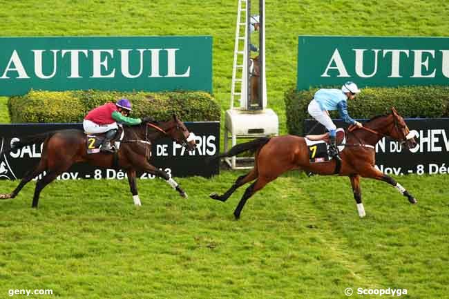 02/11/2013 - Auteuil - Prix Congress : Arrivée