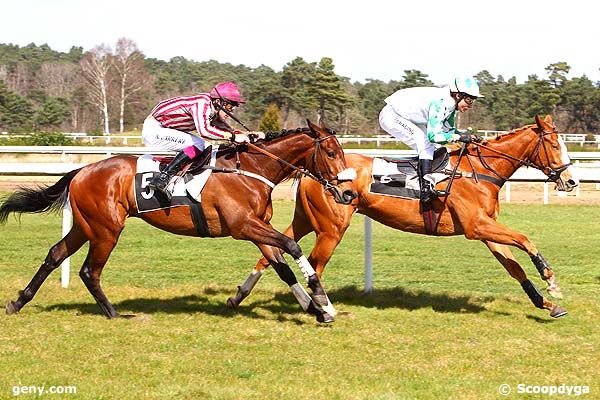 01/04/2015 - Fontainebleau - Prix de Milly-la-Forêt : Result