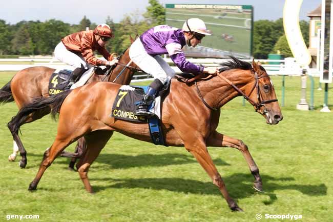 05/06/2015 - Compiègne - Prix de Champignol : Arrivée