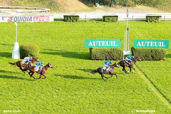 09/10/2016 - Auteuil - Prix Orcada : Arrivée