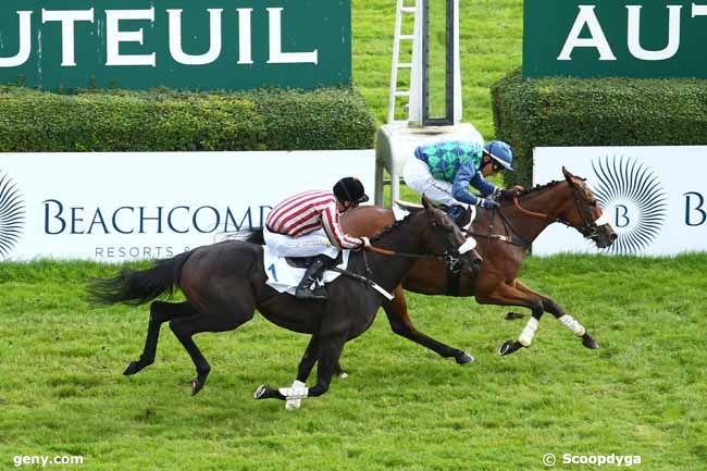 08/10/2017 - Auteuil - Prix Noiro - Victoria Beachcomber : Ankunft