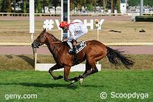 15/07/2025 - Vichy - Prix Hubert de Catheu : Arrivée