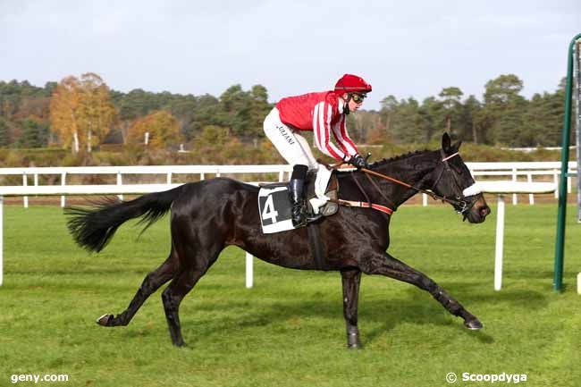 16/11/2020 - Fontainebleau - Prix du Théatre Impérial du Château de Fontainbleau : Arrivée