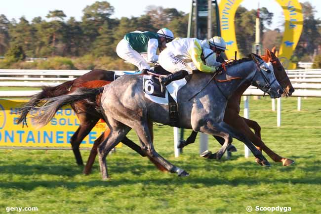 16/04/2022 - Fontainebleau - Prix de la Fontaine Désirée : Arrivée