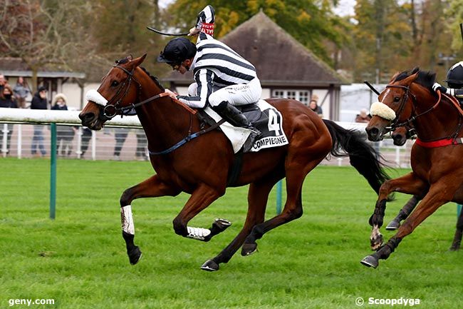 02/11/2024 - Compiègne - Prix de Besançon : Arrivée