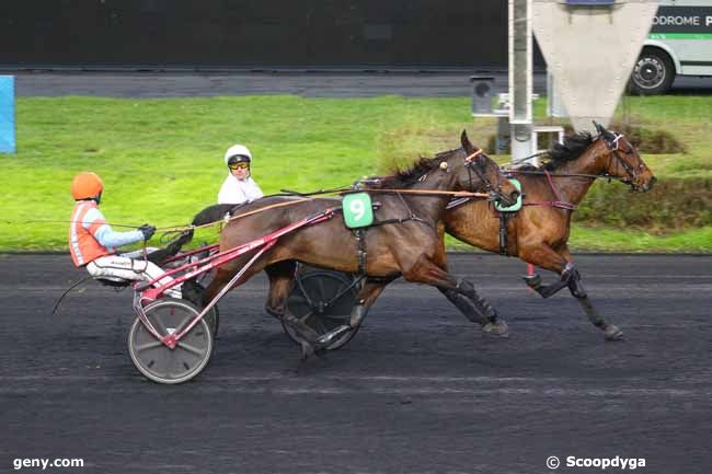 23/11/2024 - Vincennes - Prix d'Angles : Arrivée