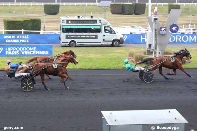 20/02/2025 - Vincennes - Prix du Cantal : Arrivée