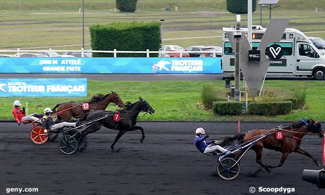 01/01/2026 - Vincennes - Prix Dominik Cordeau - Prix d'Angoulême : Arriv&eacute;e