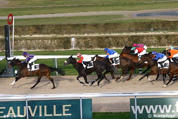12/01/2008 - Deauville - Prix du Bois Amiot : Arrivée