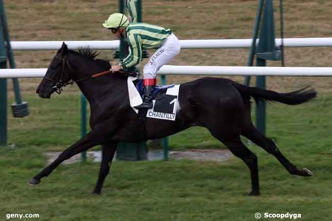 02/09/2009 - Chantilly - Prix de la Breche : Ankunft