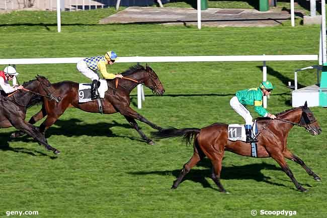 11/10/2010 - Saint-Cloud - Prix Polytain : Result