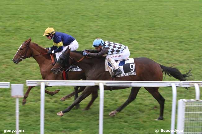 08/11/2010 - Maisons-Laffitte - Prix de la Croix Verte : Arrivée