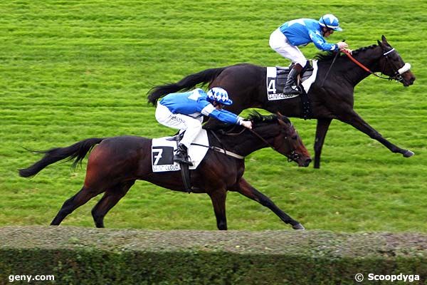 03/11/2011 - Saint-Cloud - Prix de Freneuse : Arrivée