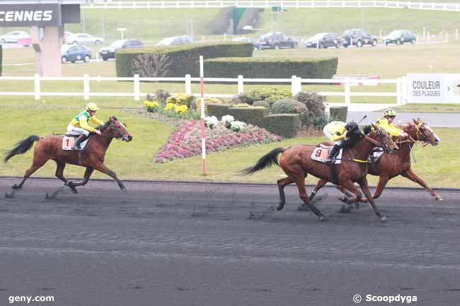 02/03/2013 - Vincennes - Prix Henri Desmontils : Arrivée