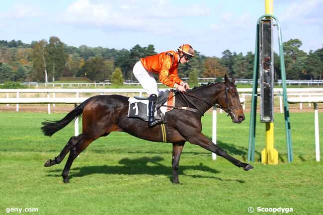 06/11/2014 - Fontainebleau - Prix Patrice Quenedey : Ankunft