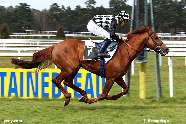 27/03/2015 - Fontainebleau - Prix des Frênes : Ankunft