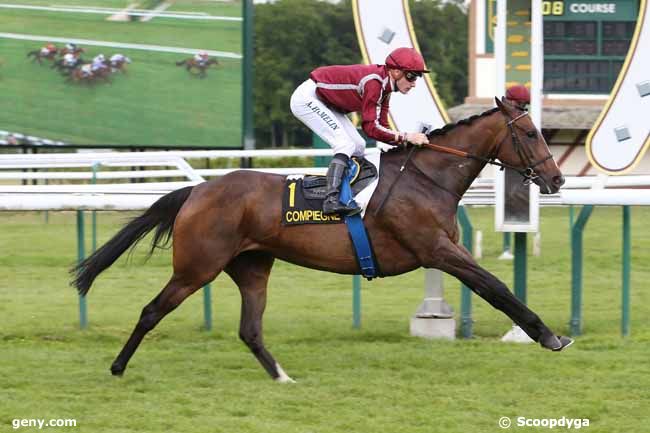 05/06/2015 - Compiègne - Prix du Laonnois : Arrivée