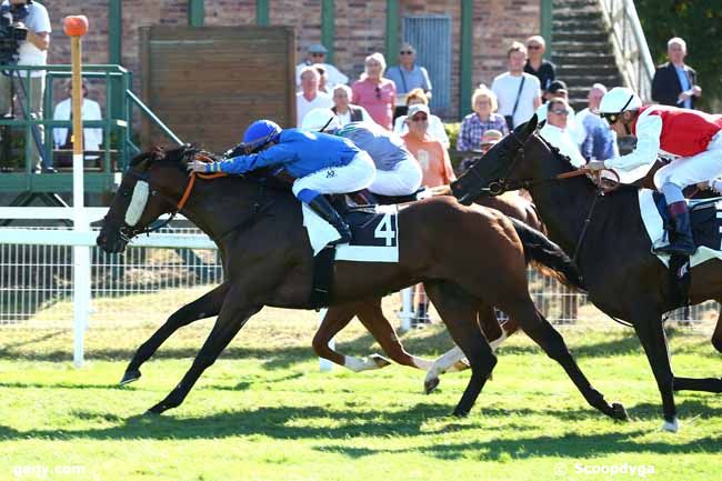 11/09/2018 - Fontainebleau - Prix des Fougères : Arrivée