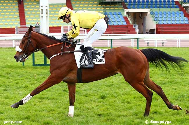 11/03/2020 - Compiègne - Prix du Commandant Bossut : Arrivée