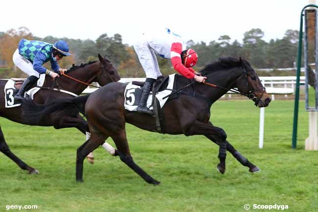 16/11/2020 - Fontainebleau - Prix du Debucher : Arrivée