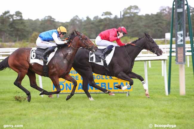 04/10/2021 - Fontainebleau - Prix de l'Impératrice Eugenie : Arrivée