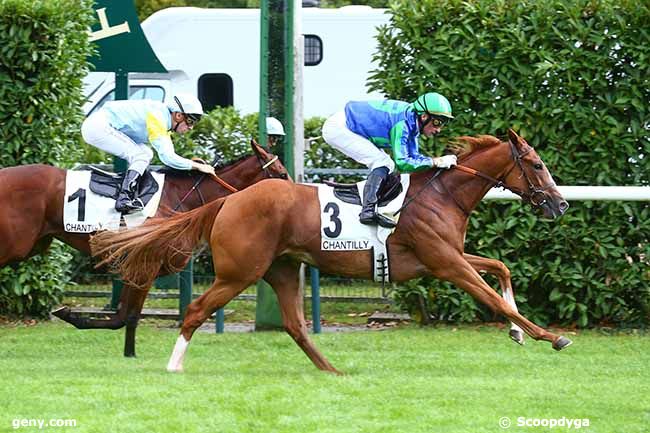 10/09/2022 - Chantilly - Prix de la Piste Rodosto : Ankunft