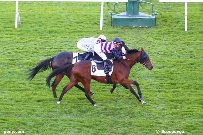 17/11/2022 - Saint-Cloud - Prix du Pays d'Yvelines : Arrivée