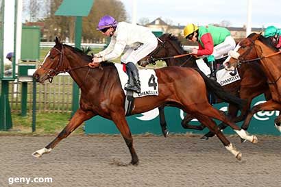 30/12/2023 - Chantilly - Prix de la Chambre de Marbre : Arrivée