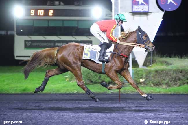 06/12/2024 - Vincennes - Prix Circinus : Arrivée