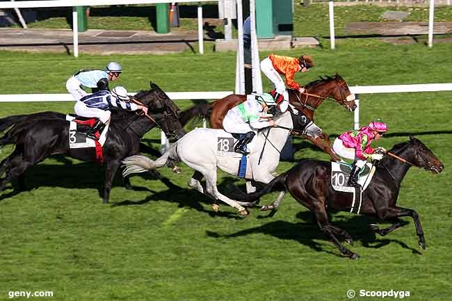 11/10/2010 - Saint-Cloud - Prix Card King : Ankunft