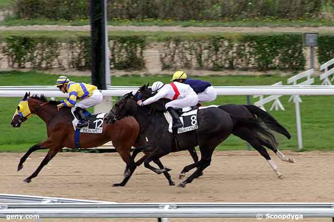 05/08/2011 - Deauville - Prix de Cerisy la Forêt : Ankunft