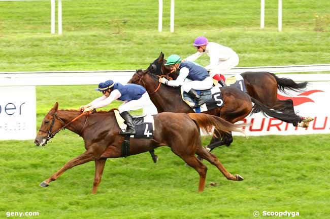 10/10/2012 - Bordeaux-Le Bouscat - Prix Jacques Meilhan Bordes : Ankunft