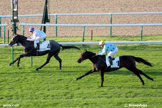 03/09/2014 - Chantilly - Prix des Aigles : Ankunft