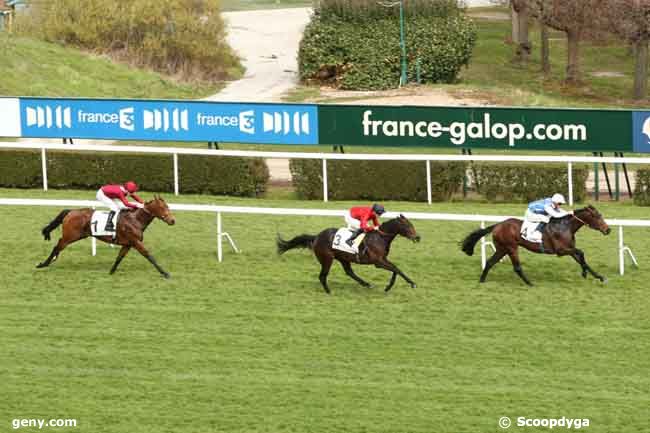 28/03/2015 - Saint-Cloud - Prix Caïus : Arrivée