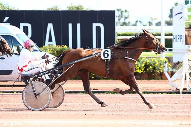 10/03/2019 - Cagnes-sur-Mer - Prix Var-Matin : Arrivée