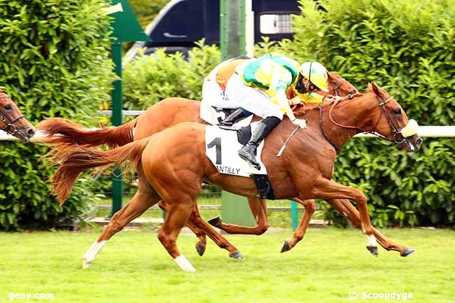 19/06/2020 - Chantilly - Prix d'Halatte : Arrivée