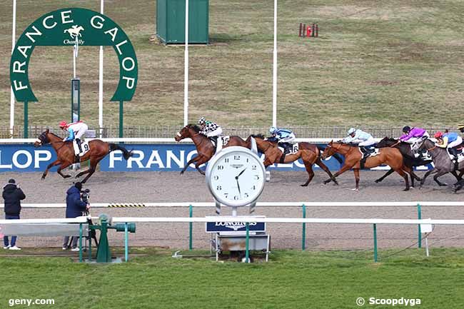 16/02/2021 - Chantilly - Prix de la Faisanderie d'Apremont : Arrivée