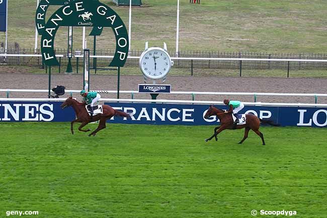 10/09/2022 - Chantilly - Prix des Aigles : Ankunft