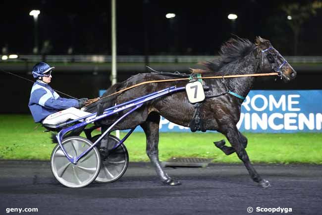 08/12/2023 - Vincennes - Prix Calliope : Arrivée