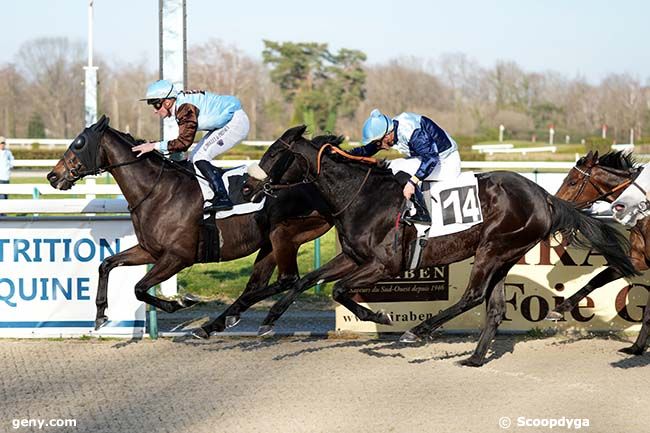 31/01/2024 - Pau - Prix d'Araujuzon : Arrivée