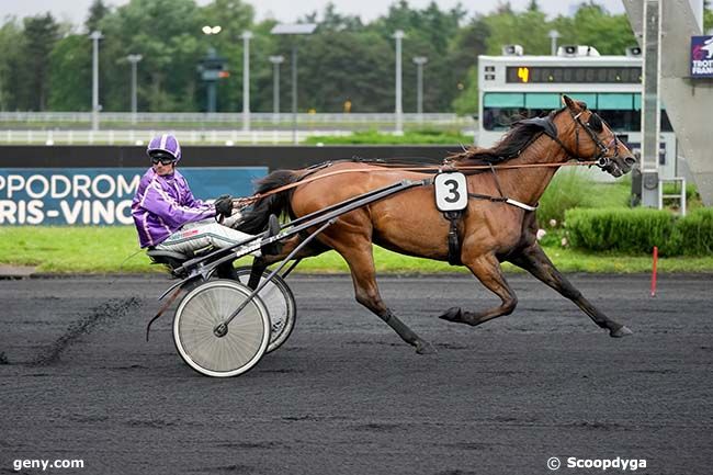 31/05/2024 - Vincennes - Prix de Clairefontaine : Arrivée